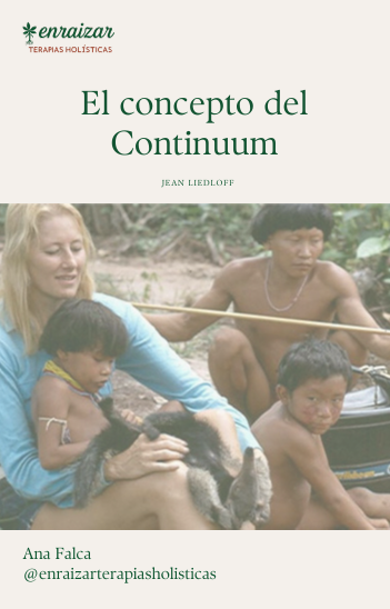 El concepto del Continuum